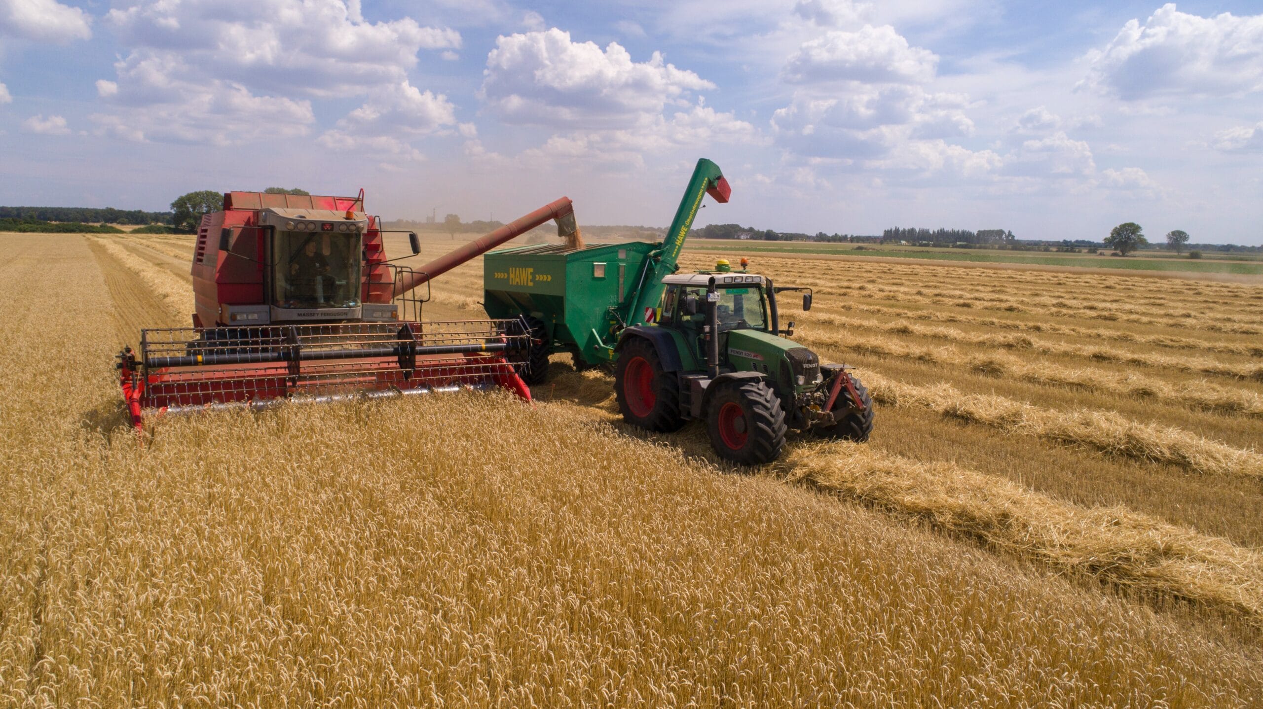 Agricultura grãos colheita