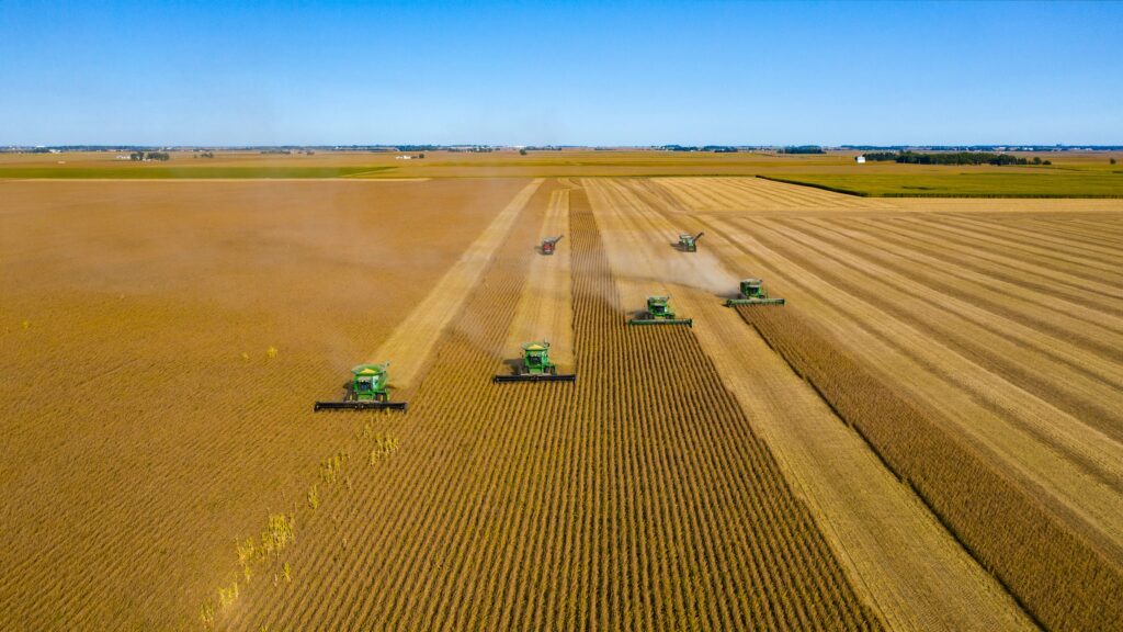 Alimentos comida agricultura