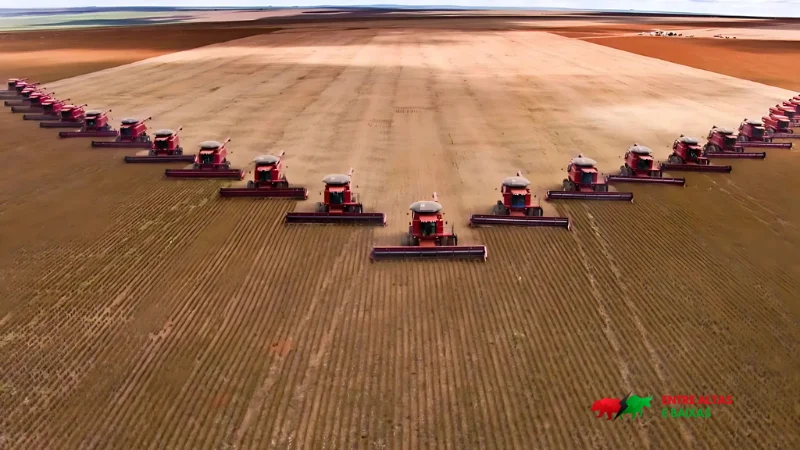 Semana ruim para o agro