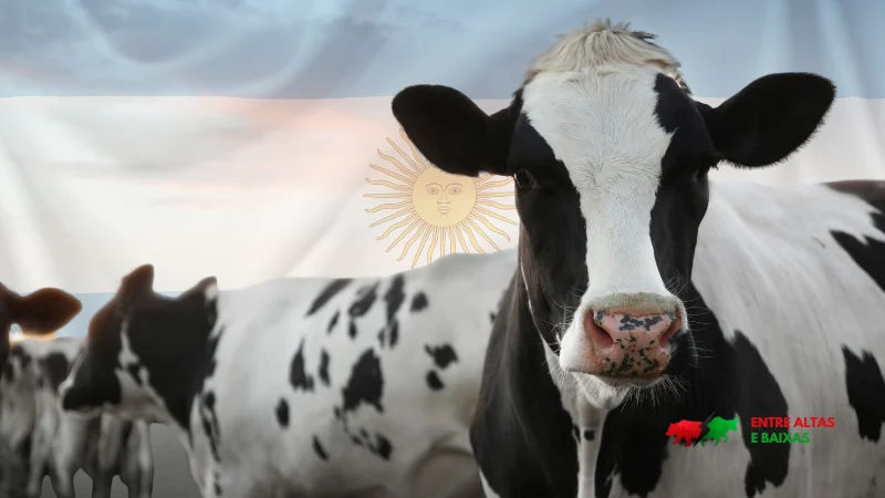 Argentina autoriza exportações de gado