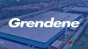Resultado 4T24 da Grendene