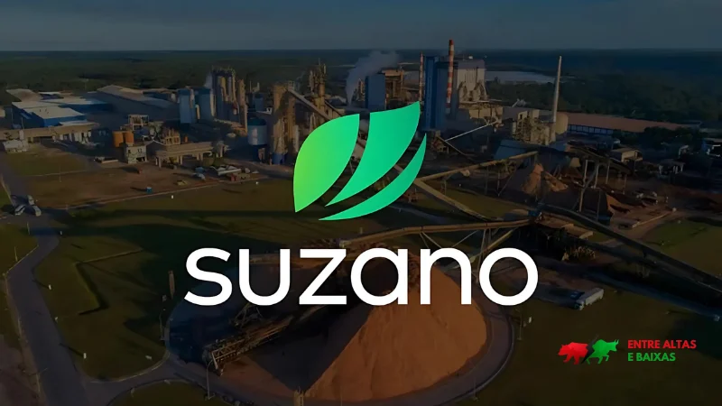 Resultado 4T24 da Suzano