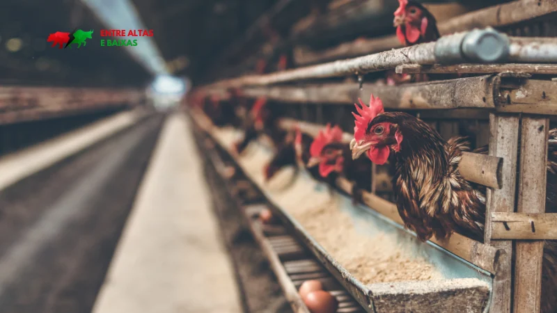Exportação da carne de frango