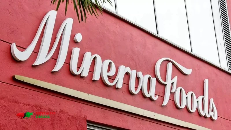 Resultados do 1T25 da Minerva