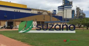 Suzano pode comprar unidade da Kimberly-Clark