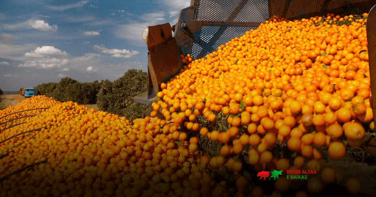 exportação de suco de laranja