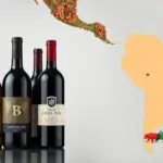 Crescimento das exportações de vinho do Chile para o Brasil em 2025