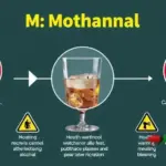 Extinção do Sicobe e a Onda de Intoxicação por Metanol: Fatos e Fakes