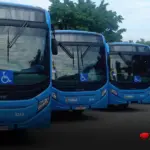 tarifa zero no transporte público